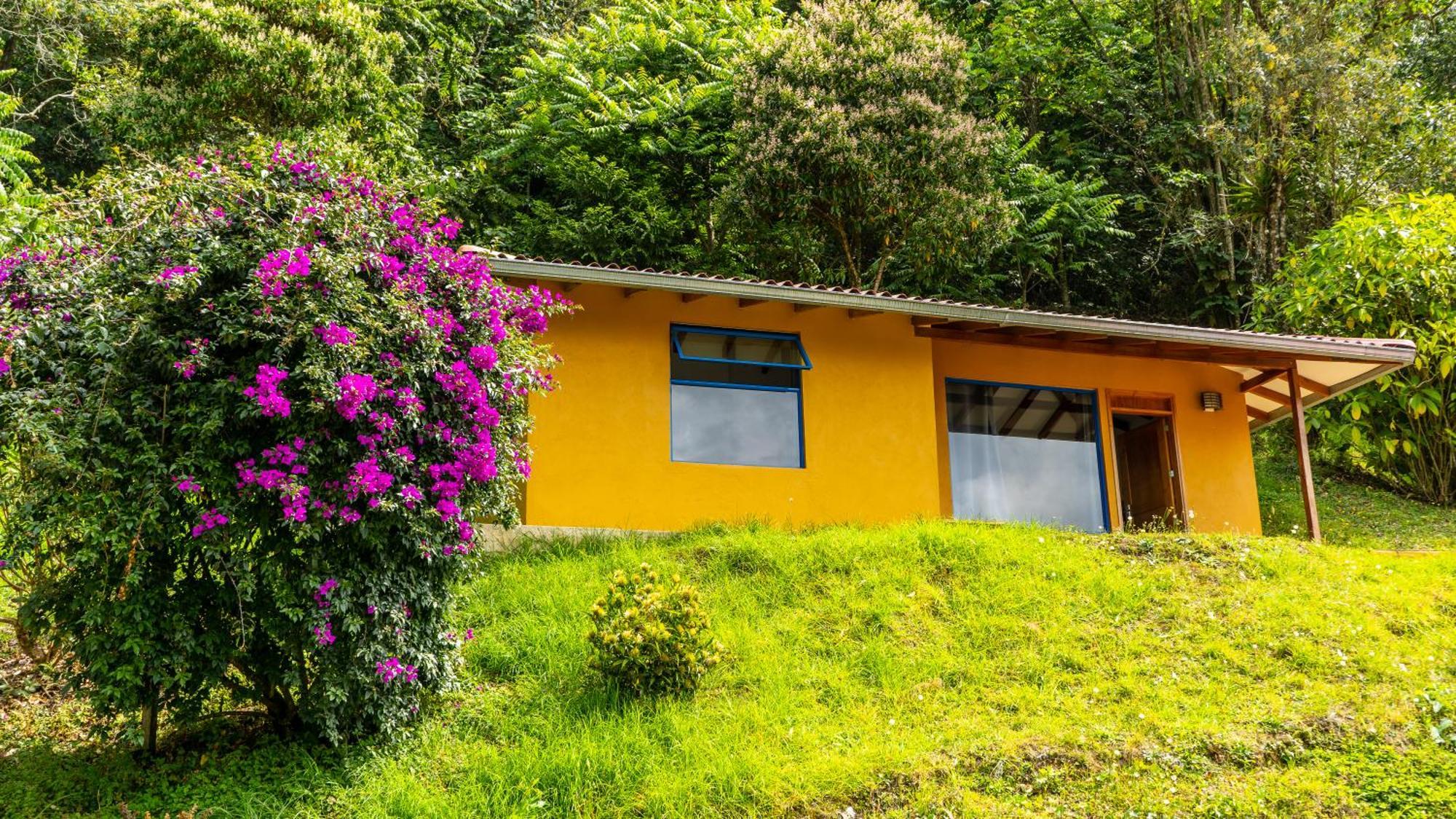Ecoresort Gran Azul سالنتو المظهر الخارجي الصورة